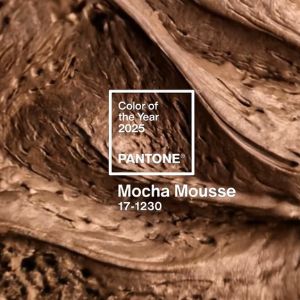 Pantone’s 2025 Color of the Year Mocha Mousse