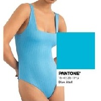 Blue Pantone 17-2435 Custom Swimwear